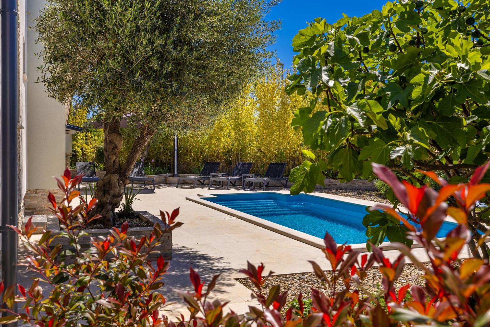 Holiday House Kai With Private Pool Pinezići Dış mekan fotoğraf